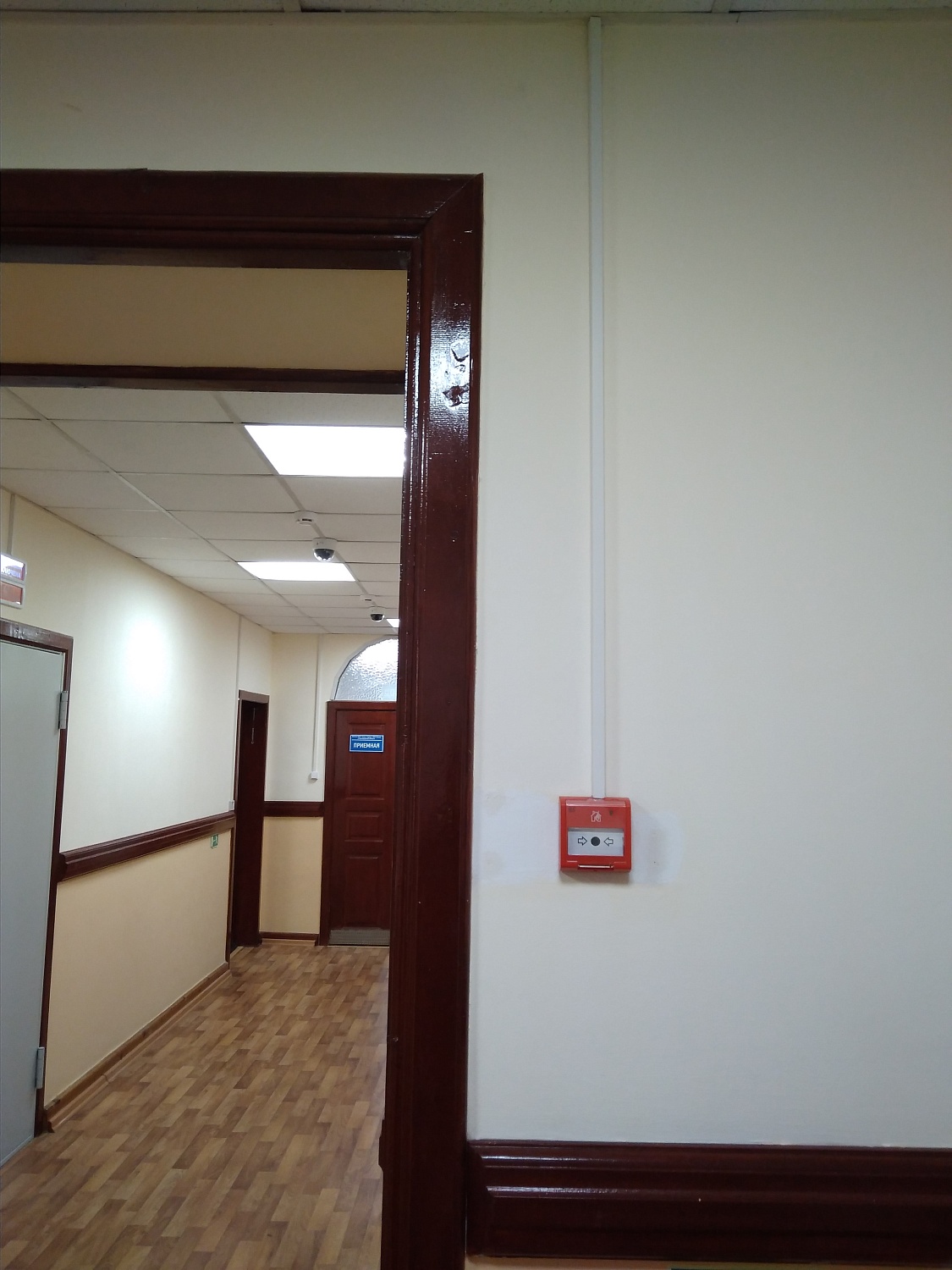 ФКУ «Налог-Сервис»